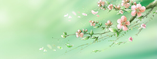 清新粉色花朵淘寶全屏banner背景