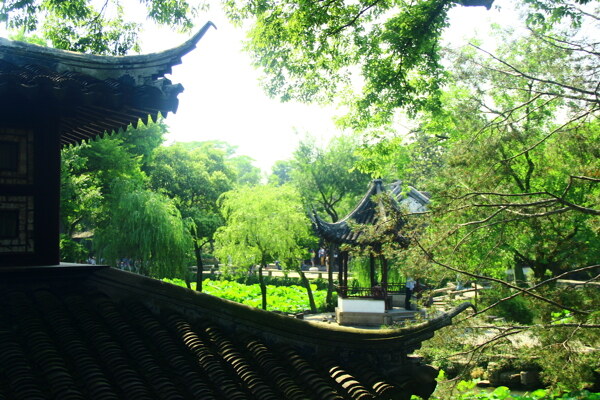 屋檐