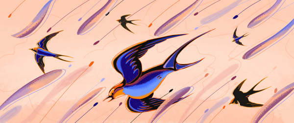 燕子插画卡通燕群流线线条色彩