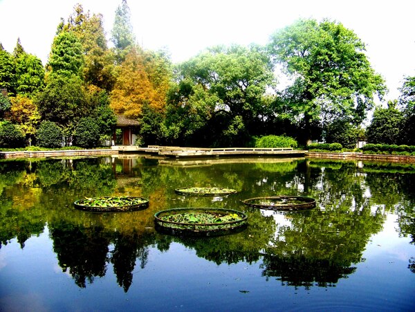 郭莊建筑古典園林圖片