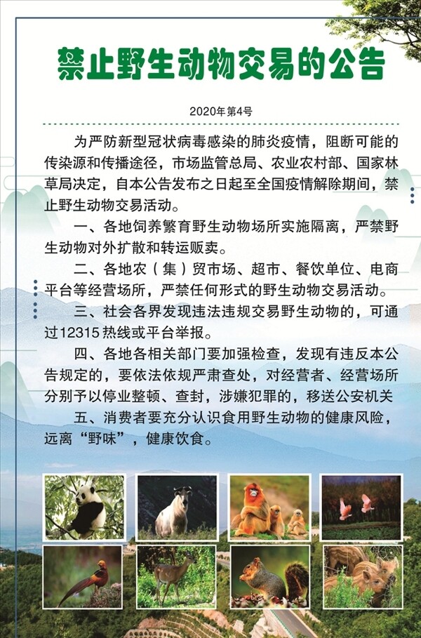 禁止野生动物交易通告图片