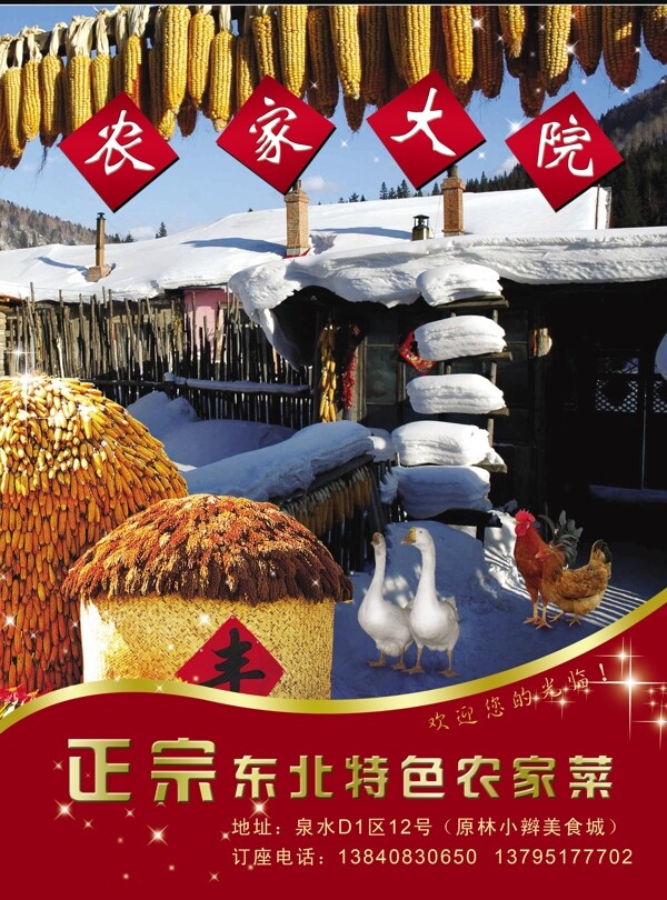 東北大院圖片