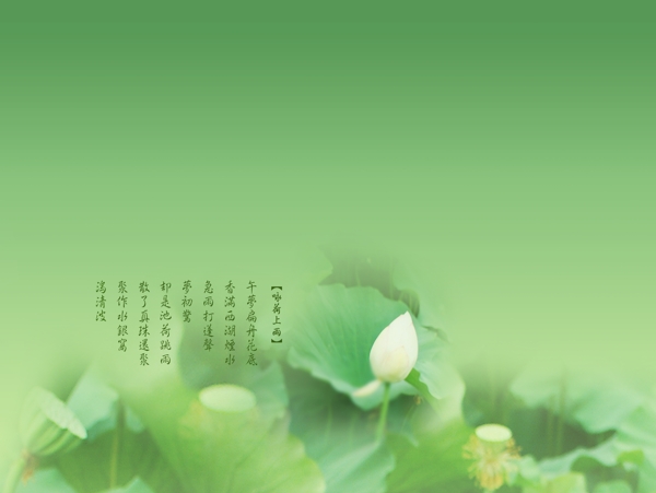 心戀主題心戀主題二婚紗模板影樓魔法書DVD41