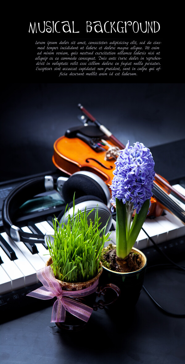 钢琴与绿色植物图片