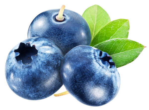 新鲜蓝莓水果图片