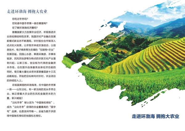 三折頁
