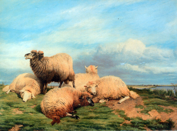 草原上的羊油画图片