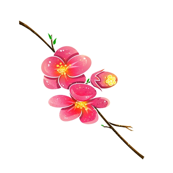 粉红色梅花梅花朵朵