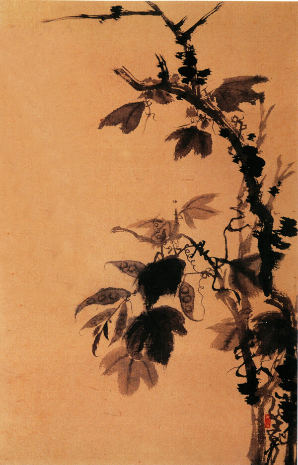 位圖植物圖案寫意花卉花朵免費(fèi)素材