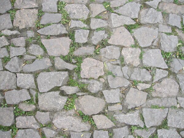 拙政園石子路圖片