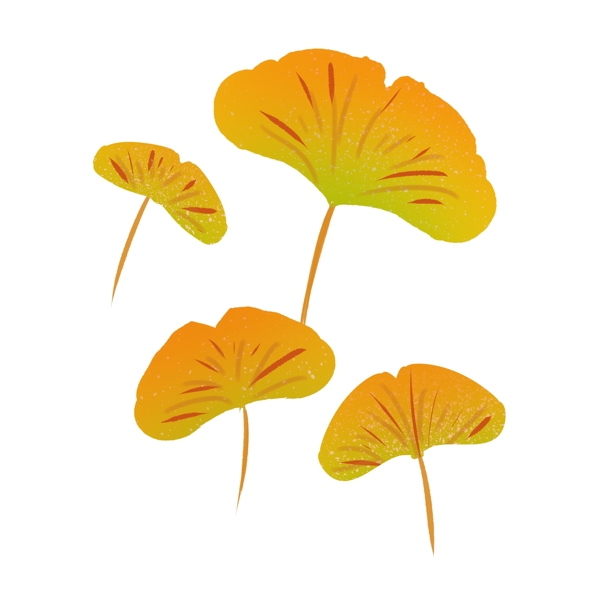 金色银杏树叶插画
