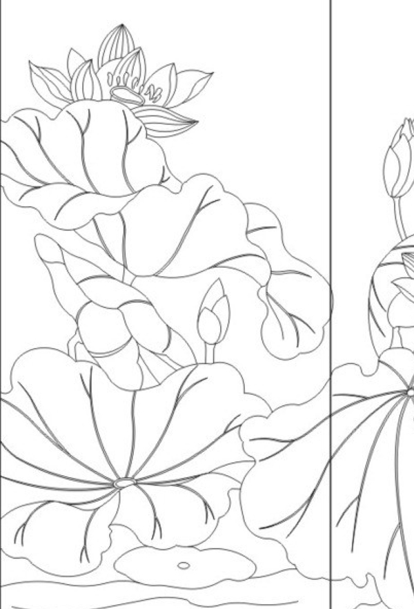 白描柳葉圖片