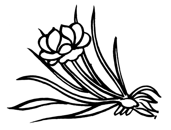 花鳥圖案元明時(shí)代圖案中國傳統(tǒng)圖案217