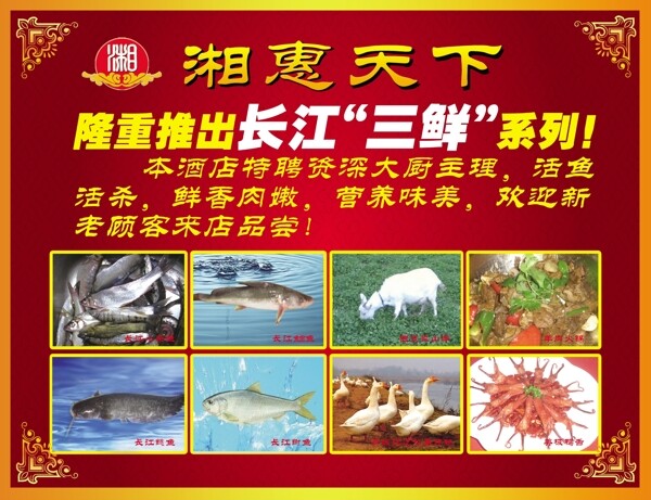 湘惠天下展板圖片