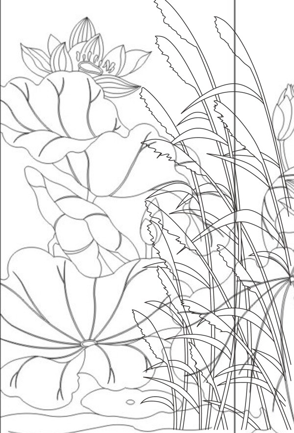 白描蘆葦圖片