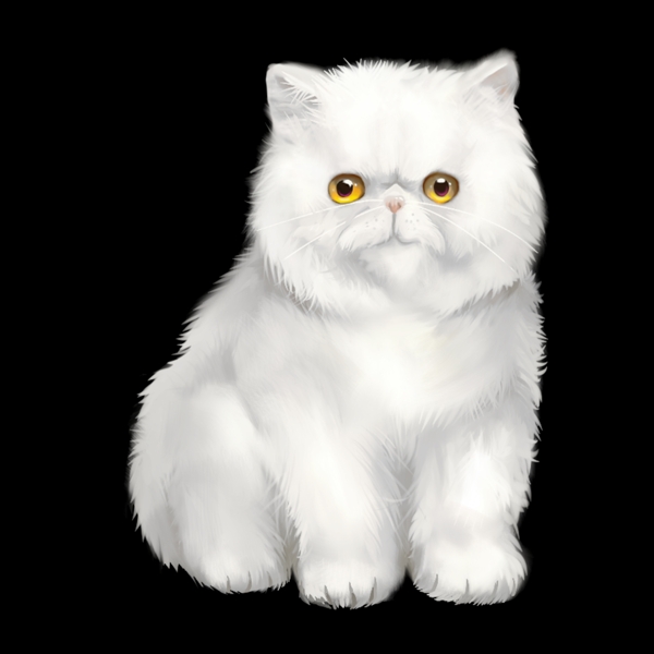 加菲猫白猫卡通插画