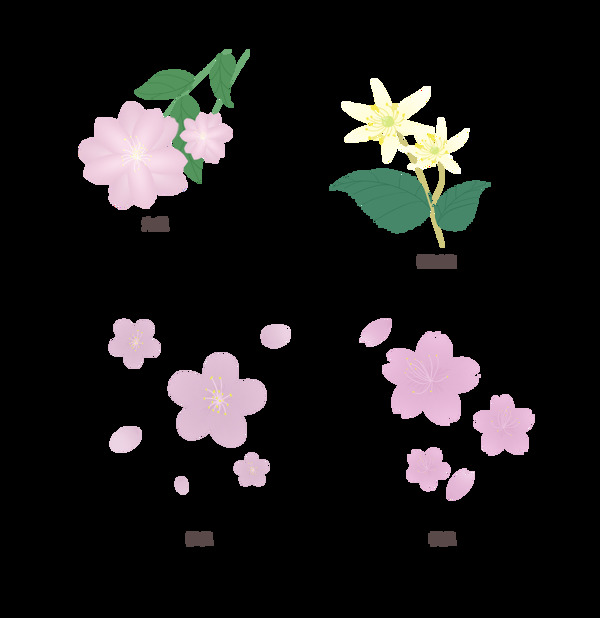手繪花卉