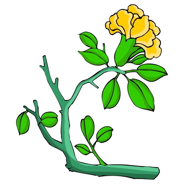 花卉古典插畫