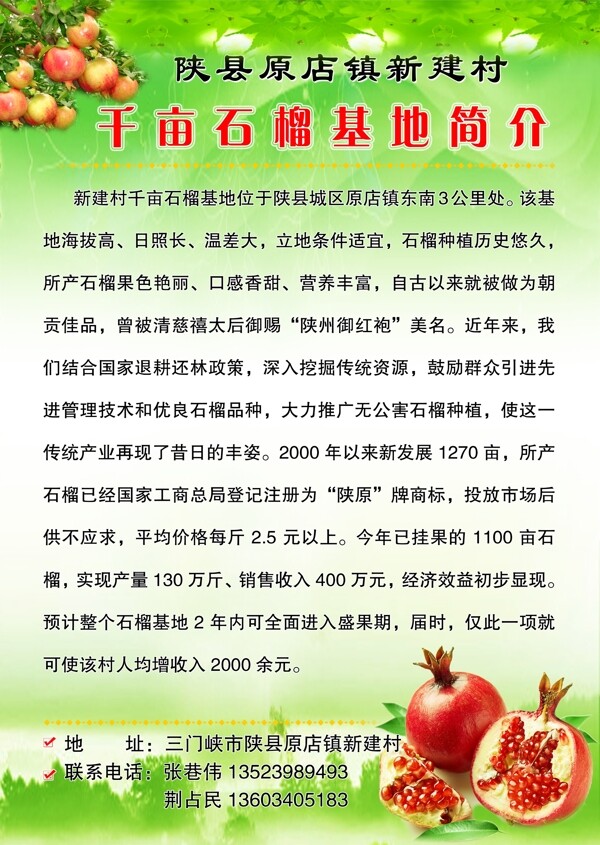 千畝石榴圖片