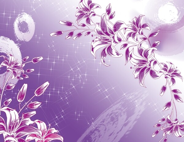 郁金香紫罗兰紫色花朵