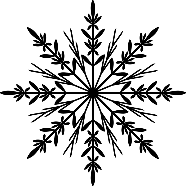 向量的雪花