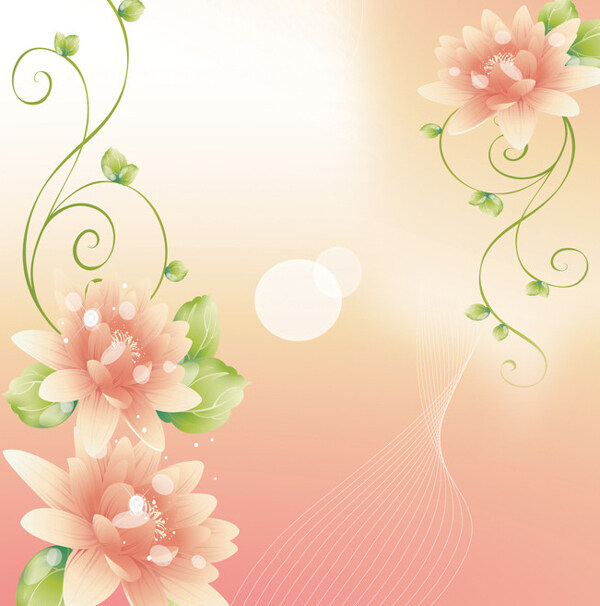 時(shí)尚休閑女裝成熟優(yōu)雅女裝T恤圖案毛衫印花優(yōu)雅植物免費(fèi)素材