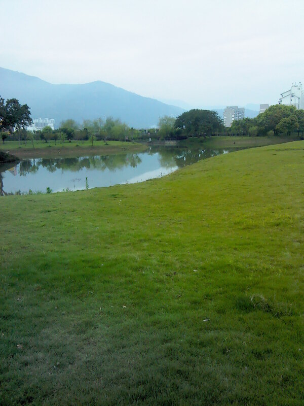 草坪圖片