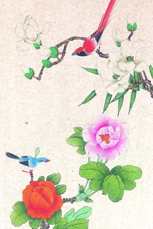 古典鸟儿花朵主题背景