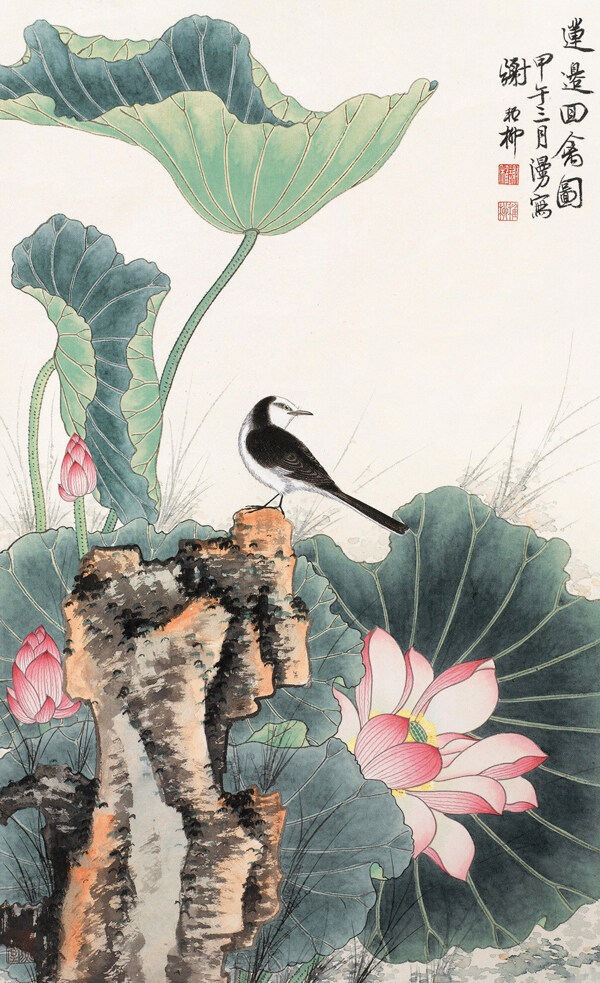 荷花圖片