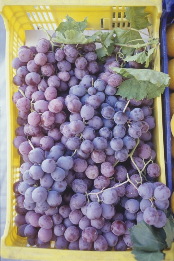 水果篮子里的葡萄摄影图片