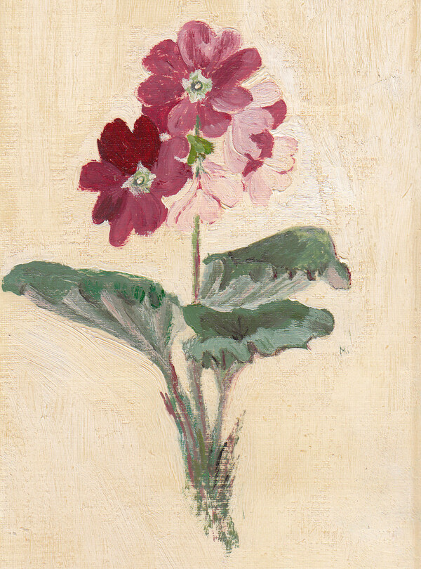 位圖植物寫(xiě)意花卉花朵免費(fèi)素材