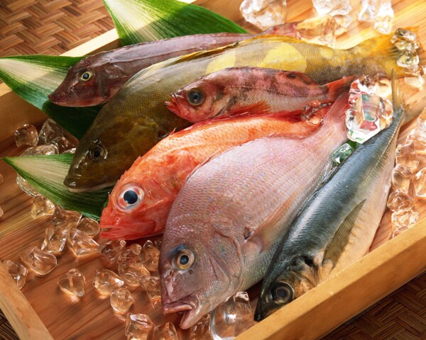 海鮮