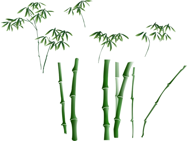 竹子圖片