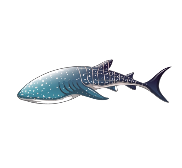 卡通魚