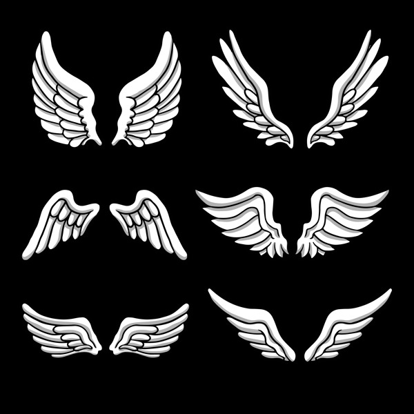 简约素描风格翅膀免抠png透明图层素材