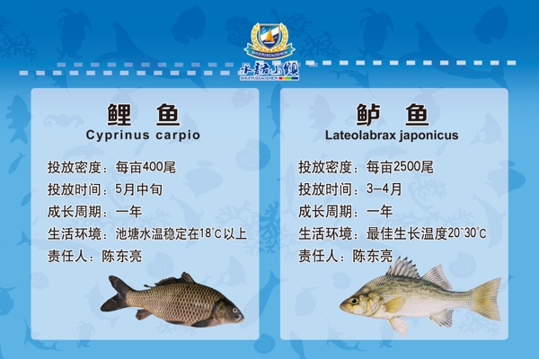 魚池牌