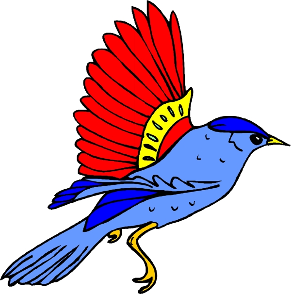 矢量逼真鳥類動物62