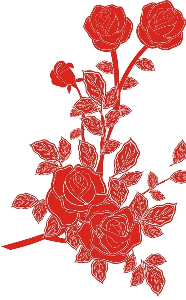 玫瑰花