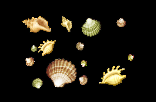 手绘海螺贝壳元素