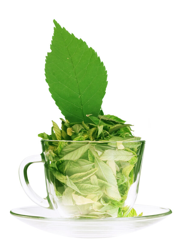 茶杯