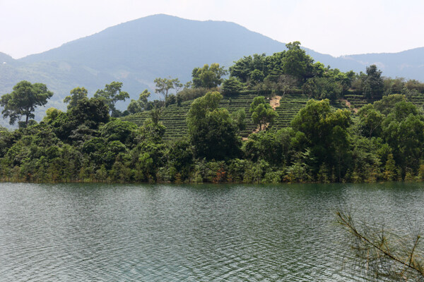 茶溪谷风景图片