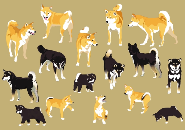 日本柴犬矢量素材