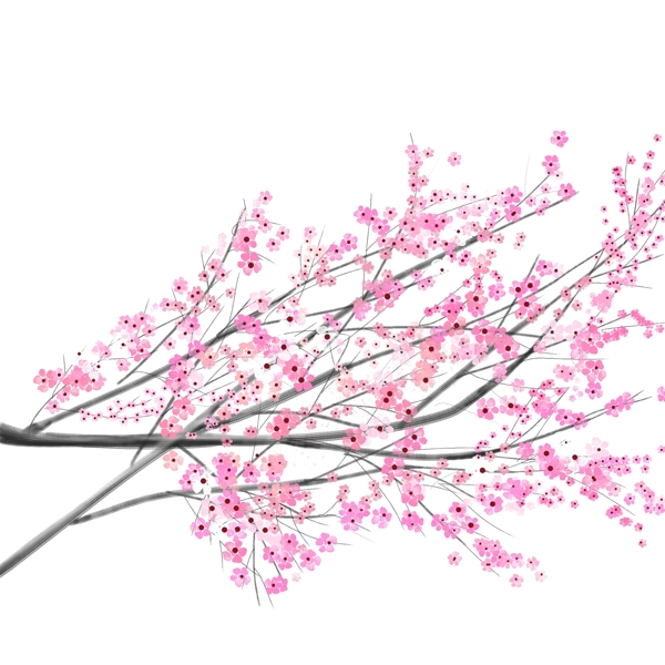 樱花树枝粉色浪漫春天元素素材