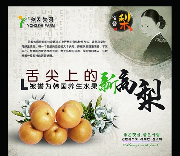 韓國梨海報