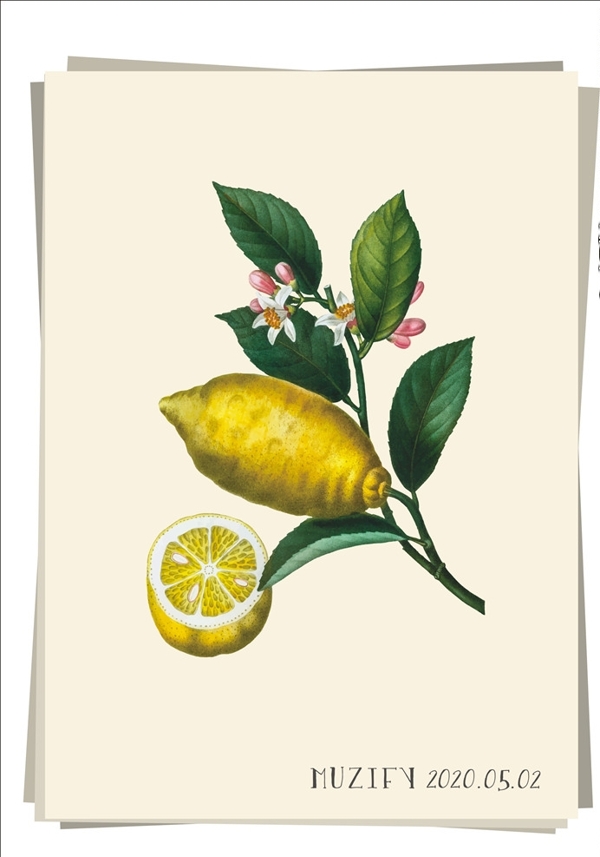 柠檬和花水果图鉴