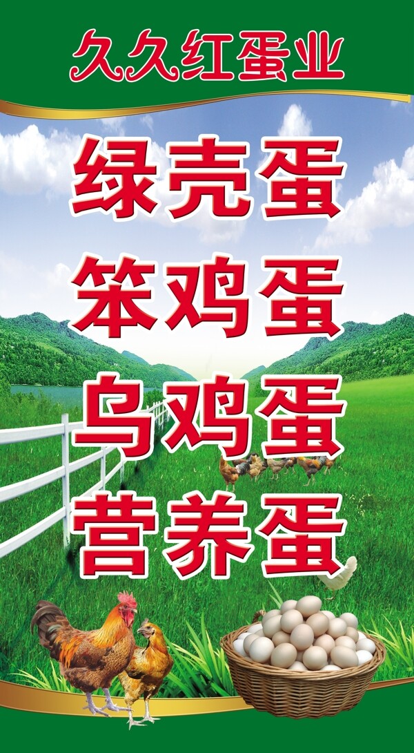 雞蛋蛋類草地