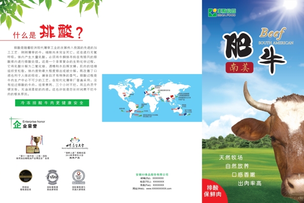 肥牛牛肉三折頁圖片