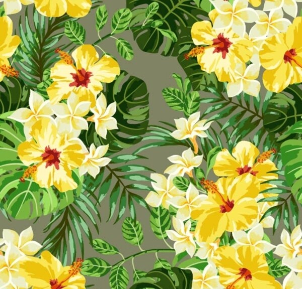 熱帶花朵