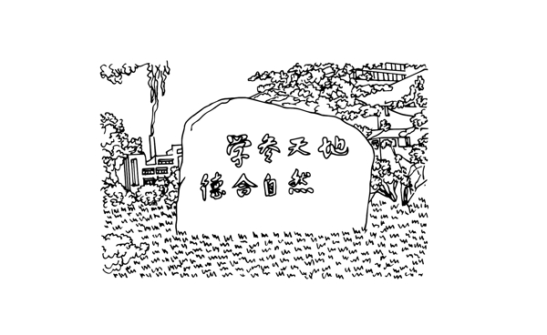 植物石頭場(chǎng)景手繪矢量