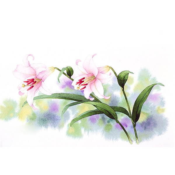 位圖寫意花卉植物花朵免費素材